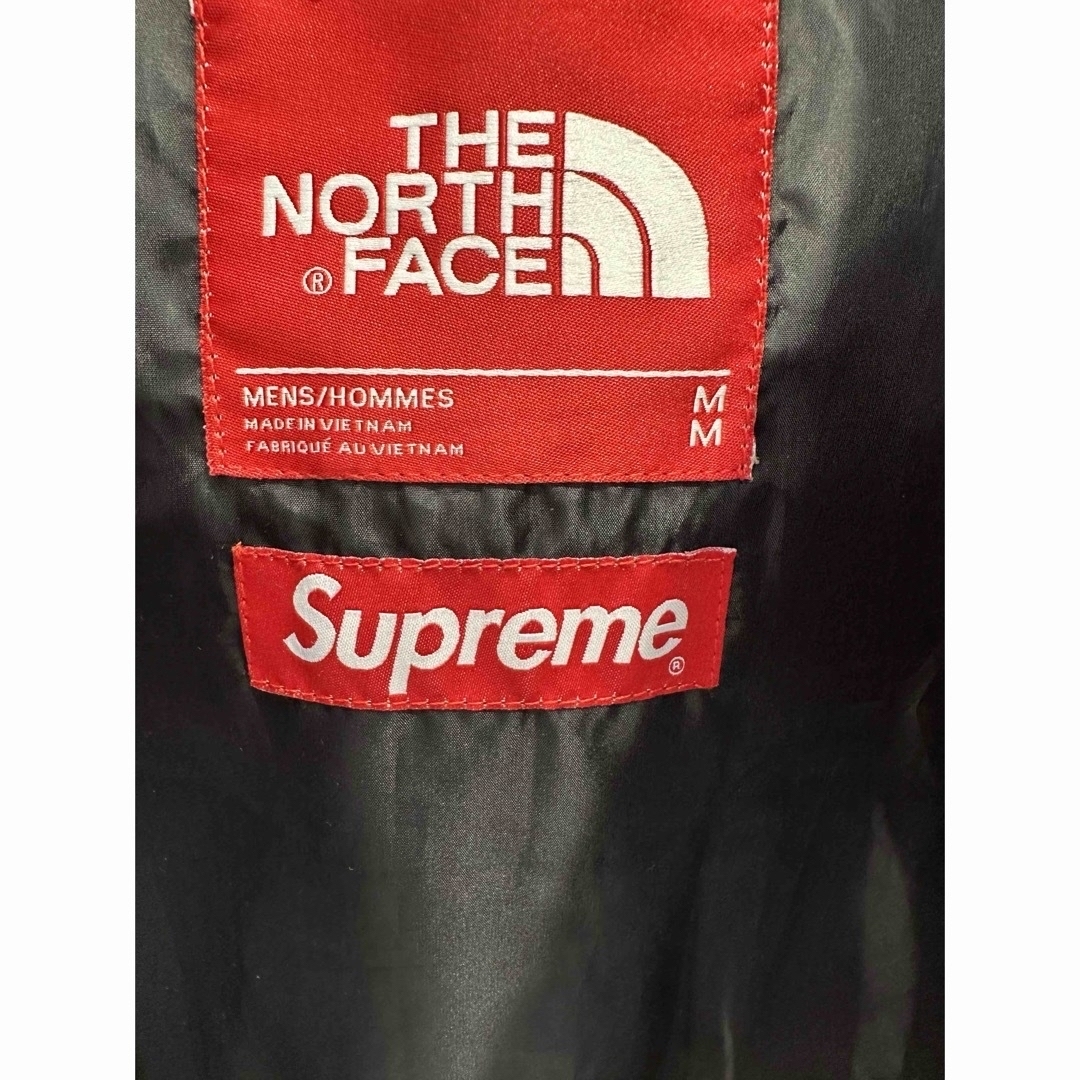Supreme(シュプリーム)のSupreme / The North Face® Leather Nuptse メンズのジャケット/アウター(ダウンジャケット)の商品写真