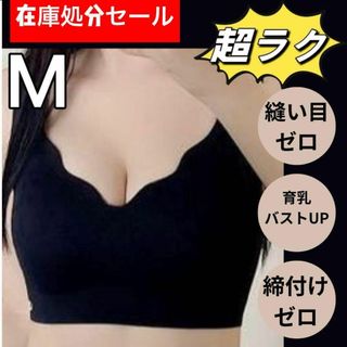 【在庫処分セール】育乳ブラ M トップブラ ナイトブラ パッド付き ジム(ブラ)