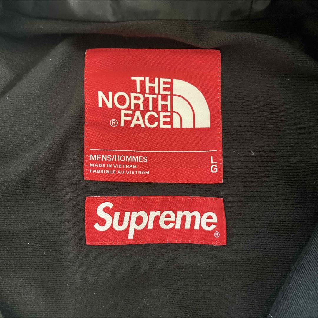 Supreme(シュプリーム)のSupreme / TNF® Metallic Mountain Parka メンズのジャケット/アウター(マウンテンパーカー)の商品写真