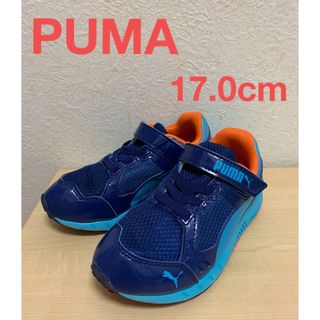 プーマ(PUMA)のPUMA スニーカー 17.0cm 男の子 靴(スニーカー)