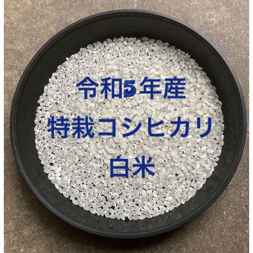 令和5年産京都府「丹後産コシヒカリ」玄米30㎏ 送料・標準精米無料サービス！ 食品/飲料/酒の食品(米/穀物)の商品写真