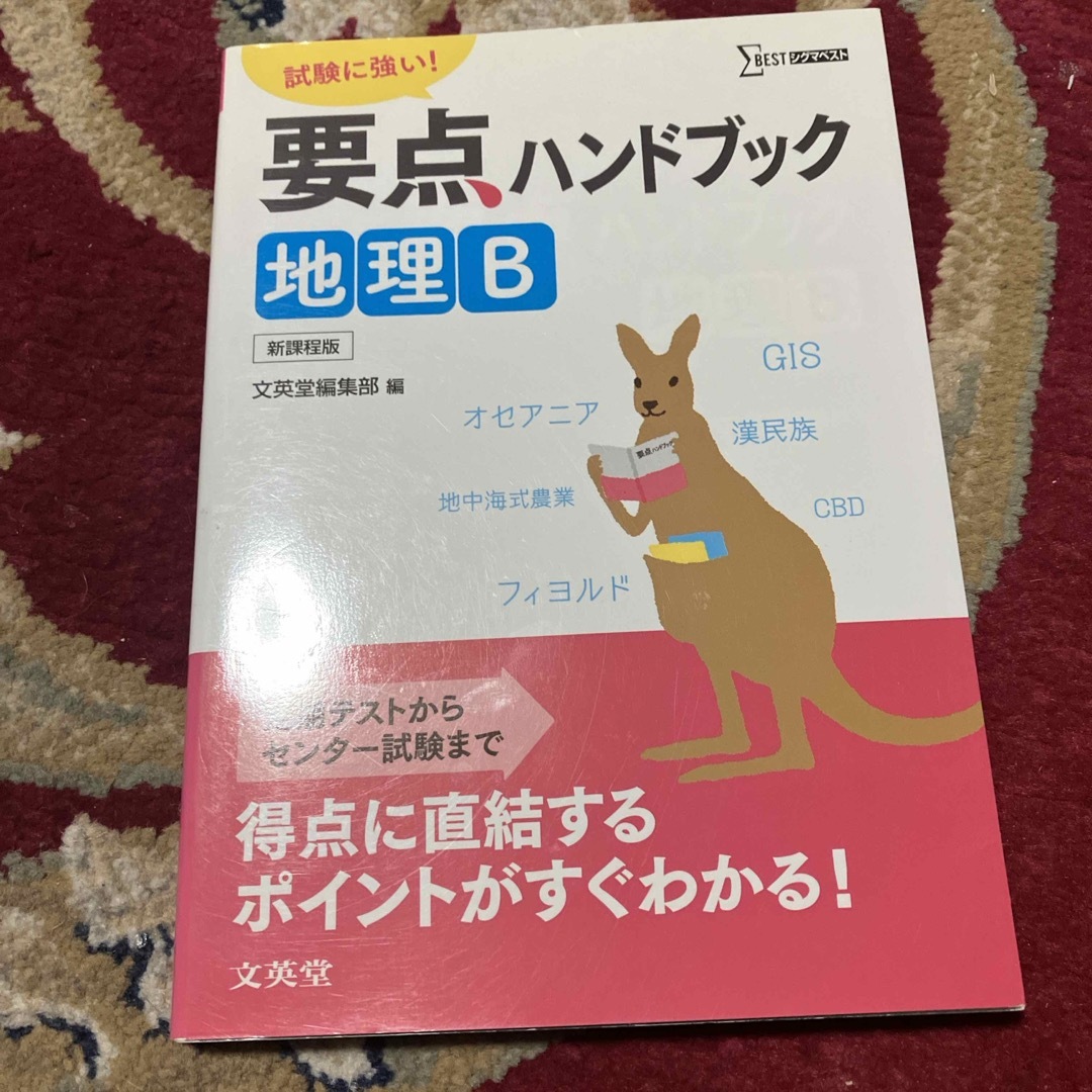 要点ハンドブック地理Ｂ エンタメ/ホビーの本(語学/参考書)の商品写真