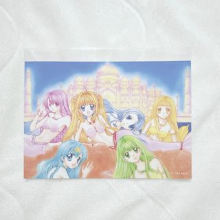 ぴちぴちピッチ 集合 ブロマイド イベント限定特典 BOX購入特典(キャラクターグッズ)