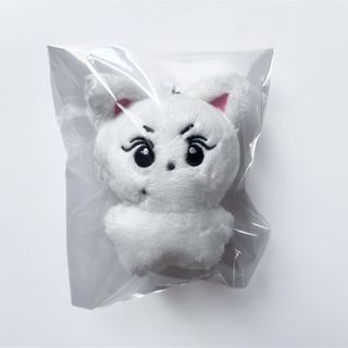 ENHYPEN エナイプン ジョンウォン ぬいぐるみ(アイドルグッズ)