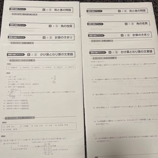 基礎力強化プリント　新4年生　算数　早稲田アカデミー(語学/参考書)