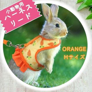 Mサイズ　うさぎ　ペット　小動物　モルモット　フェレット　ハーネス　リード　胴輪(小動物)