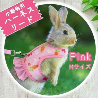 Mサイズ　うさぎ　ペット　小動物　モルモット　フェレット　ハーネス　リード　胴輪(小動物)