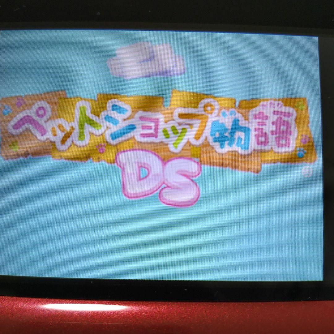 ニンテンドーDS(ニンテンドーDS)のペットショップ物語 DS エンタメ/ホビーのゲームソフト/ゲーム機本体(携帯用ゲームソフト)の商品写真