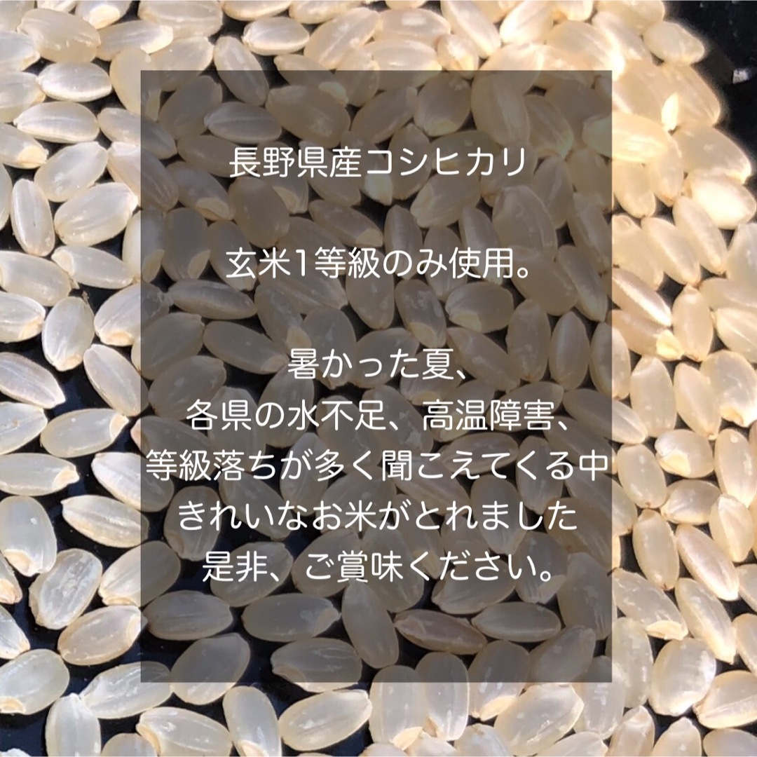 【令和5年産】長野県コシヒカリ10キロ白米 食品/飲料/酒の食品(米/穀物)の商品写真