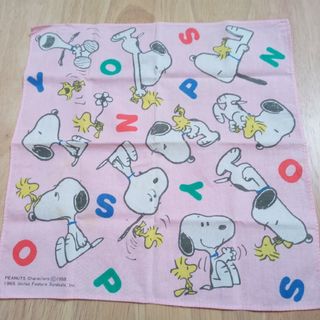 SNOOPY - 新品 スヌーピー 軽井沢店限定 珪藻土コースターの通販 by