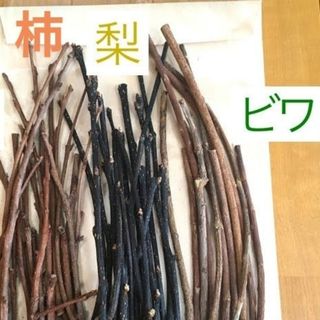 柿枝 梨枝 ビワ枝 3種セット ★ かじり木 のぼり木 素材 農薬不使用(小動物)