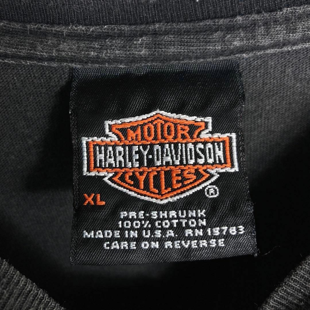 Harley Davidson(ハーレーダビッドソン)の【USA製】ハーレーダビッドソン　ロゴ入りTシャツ　Hanes　ファイヤー　炎 メンズのトップス(Tシャツ/カットソー(半袖/袖なし))の商品写真