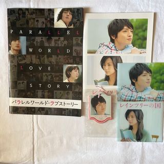 キスマイフットツー(Kis-My-Ft2)のレインツリーの国 パラレルワールド パンフレット(アイドルグッズ)