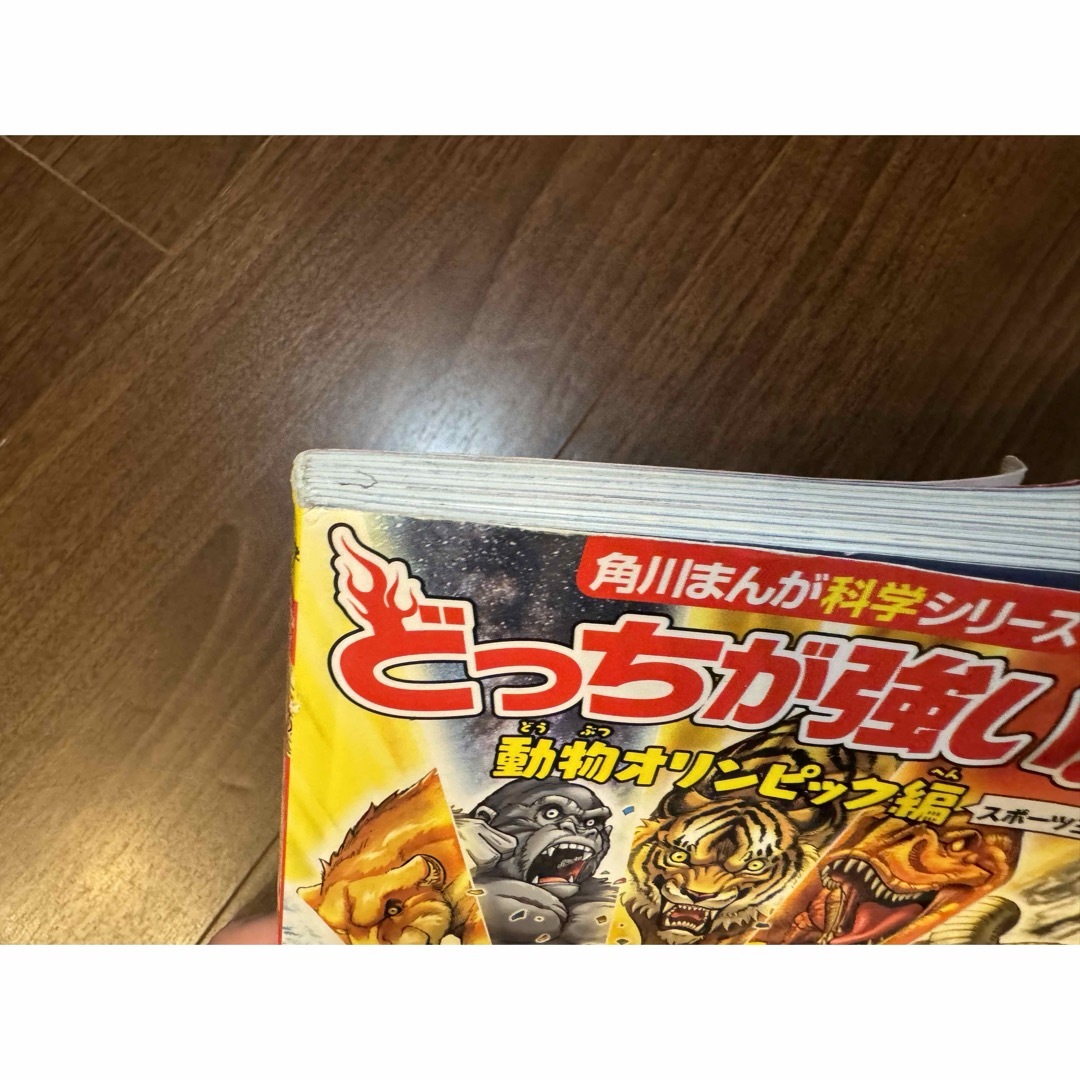 角川書店(カドカワショテン)のどっちが強い　動物オリンピック エンタメ/ホビーの本(科学/技術)の商品写真