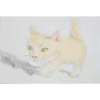 猫。2。色鉛筆画。絵画。ポストカード。(絵画/タペストリー)