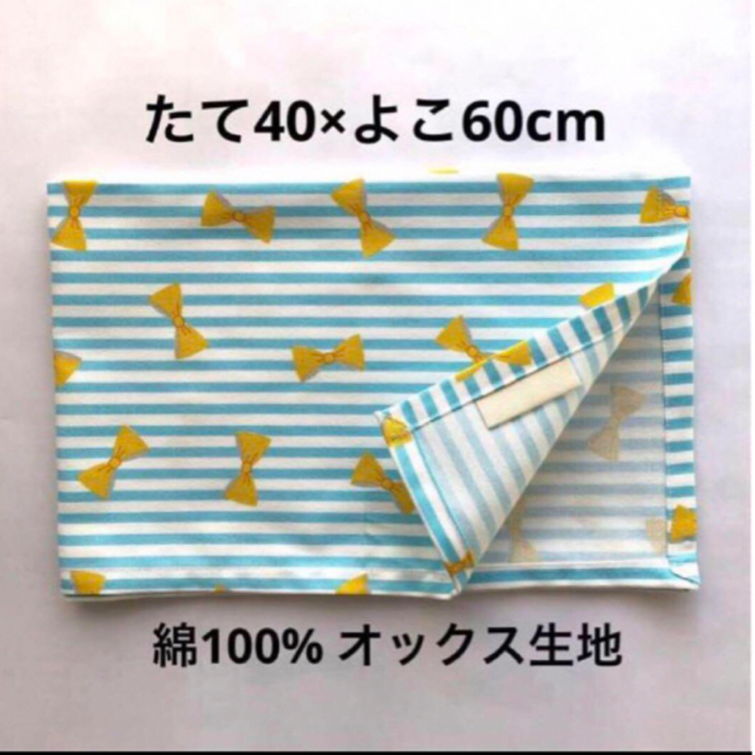給食袋 ランチョンマット 40×60 小学校 小学生 女の子 水色 リボン柄 ハンドメイドのキッズ/ベビー(外出用品)の商品写真