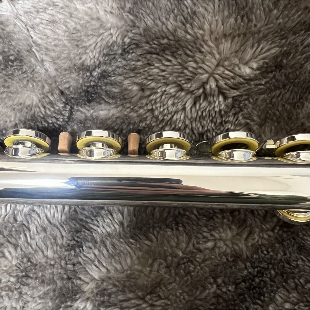 pearl(パール)のパール　Pearl フルート　カンタービレ　F-8800RE 【美品】付属品あり 楽器の管楽器(フルート)の商品写真