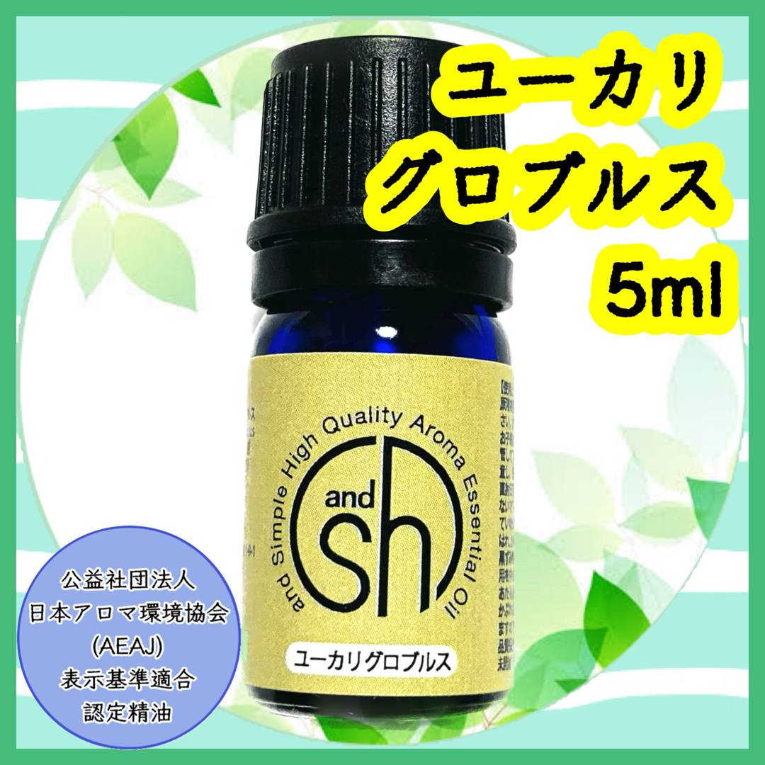 精油　ユーカリグロブルス　5ml コスメ/美容のリラクゼーション(エッセンシャルオイル（精油）)の商品写真