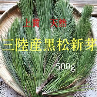 松の葉500g   上質黒松新芽　デトックスレシピ付き(野菜)