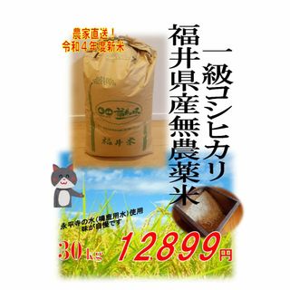 【令和5年度新米】無農薬福井県産１級コシヒカリ 30kg 玄米 エコファーマー認(米/穀物)