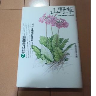 山野草　新園芸相談(趣味/スポーツ/実用)