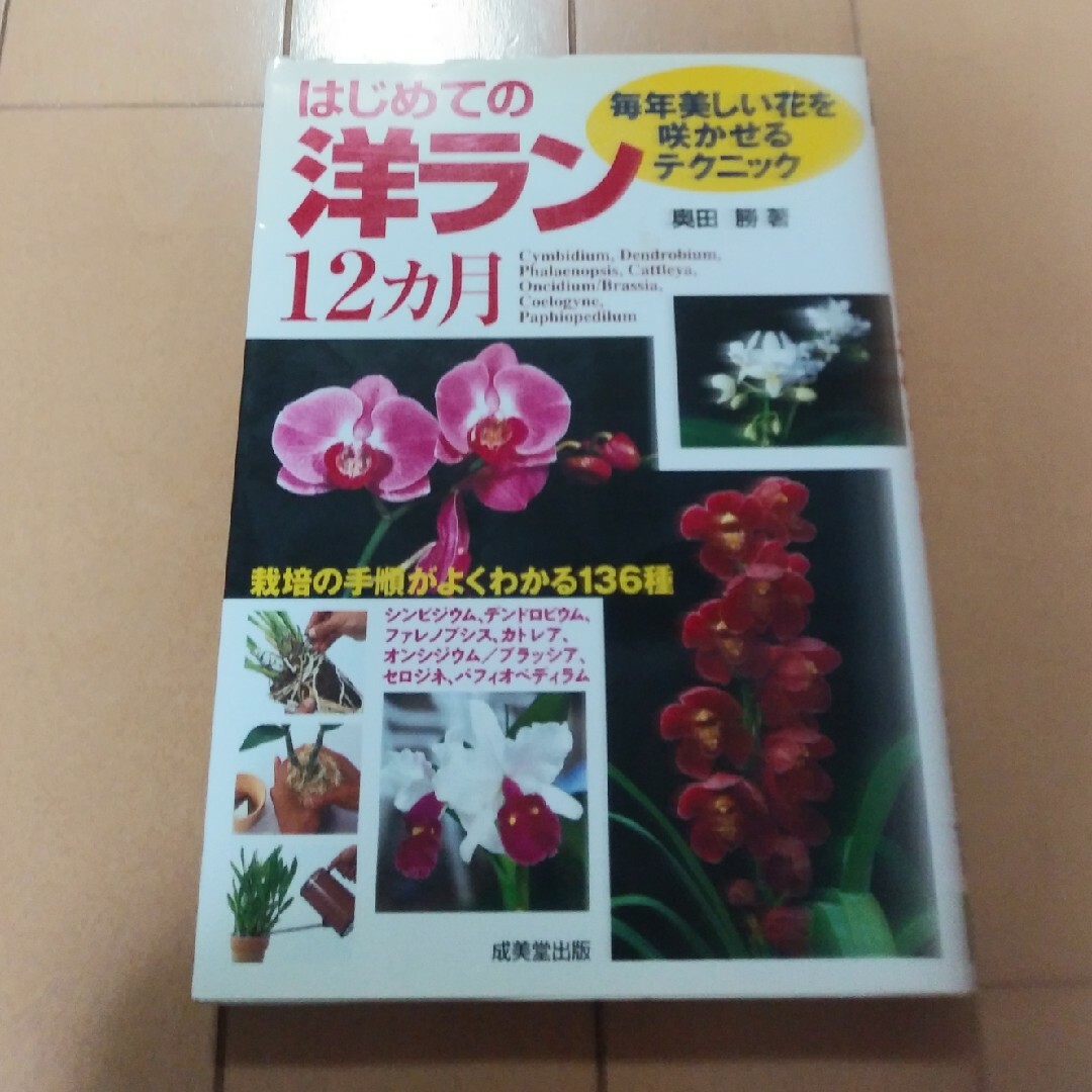 はじめての洋ラン１２カ月 エンタメ/ホビーの本(趣味/スポーツ/実用)の商品写真