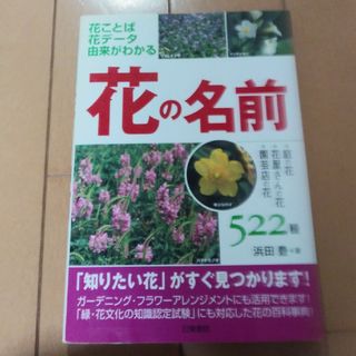 花の名前(科学/技術)