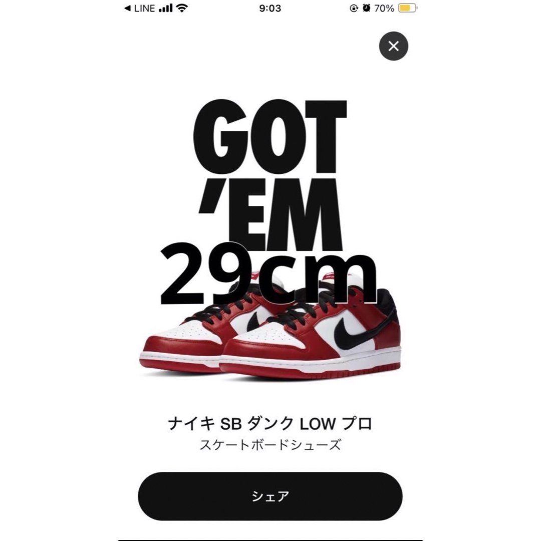 NIKE(ナイキ)のnike dunk sb chicago 29cm US11 メンズの靴/シューズ(スニーカー)の商品写真