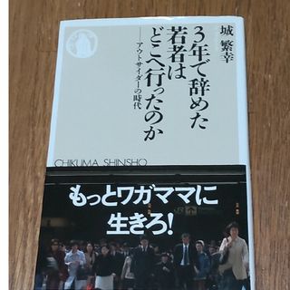 ３年で辞めた若者はどこへ行ったのか(その他)