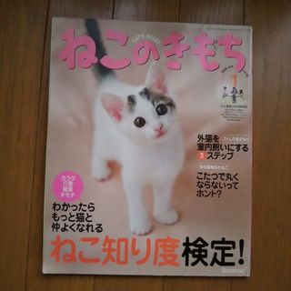 ねこのきもち(専門誌)