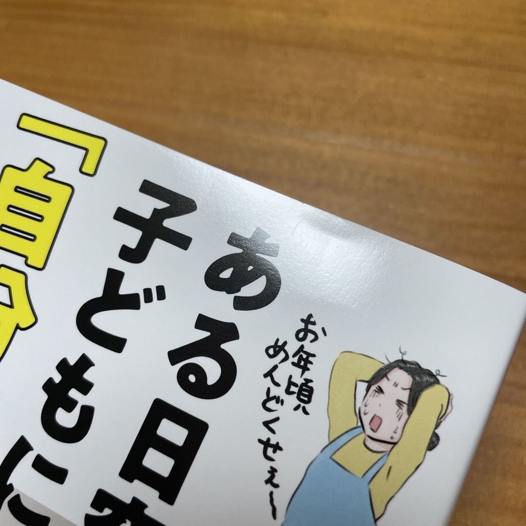 主婦と生活社(シュフトセイカツシャ)の２ＬＤＫ５人家族３兄弟　ある日突然、子どもに「自分の部屋が欲しい！」と言われたら エンタメ/ホビーの本(人文/社会)の商品写真