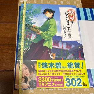 シュフノトモシャ(主婦の友社)の薬屋のひとりごと　画集　しのとうこ(その他)