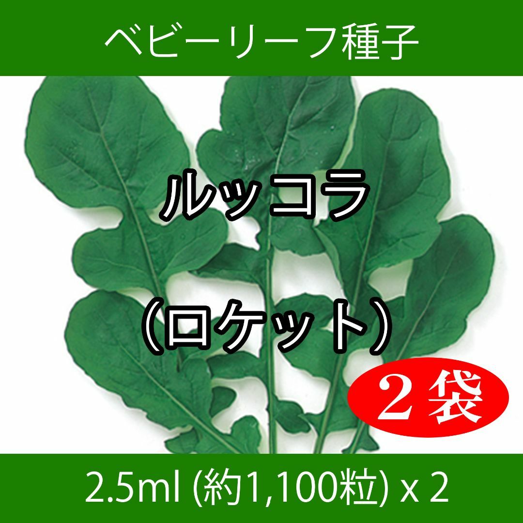 ベビーリーフ種子 B-29 ルッコラ（ロケット）2.5ml約1100粒 x 2袋 食品/飲料/酒の食品(野菜)の商品写真