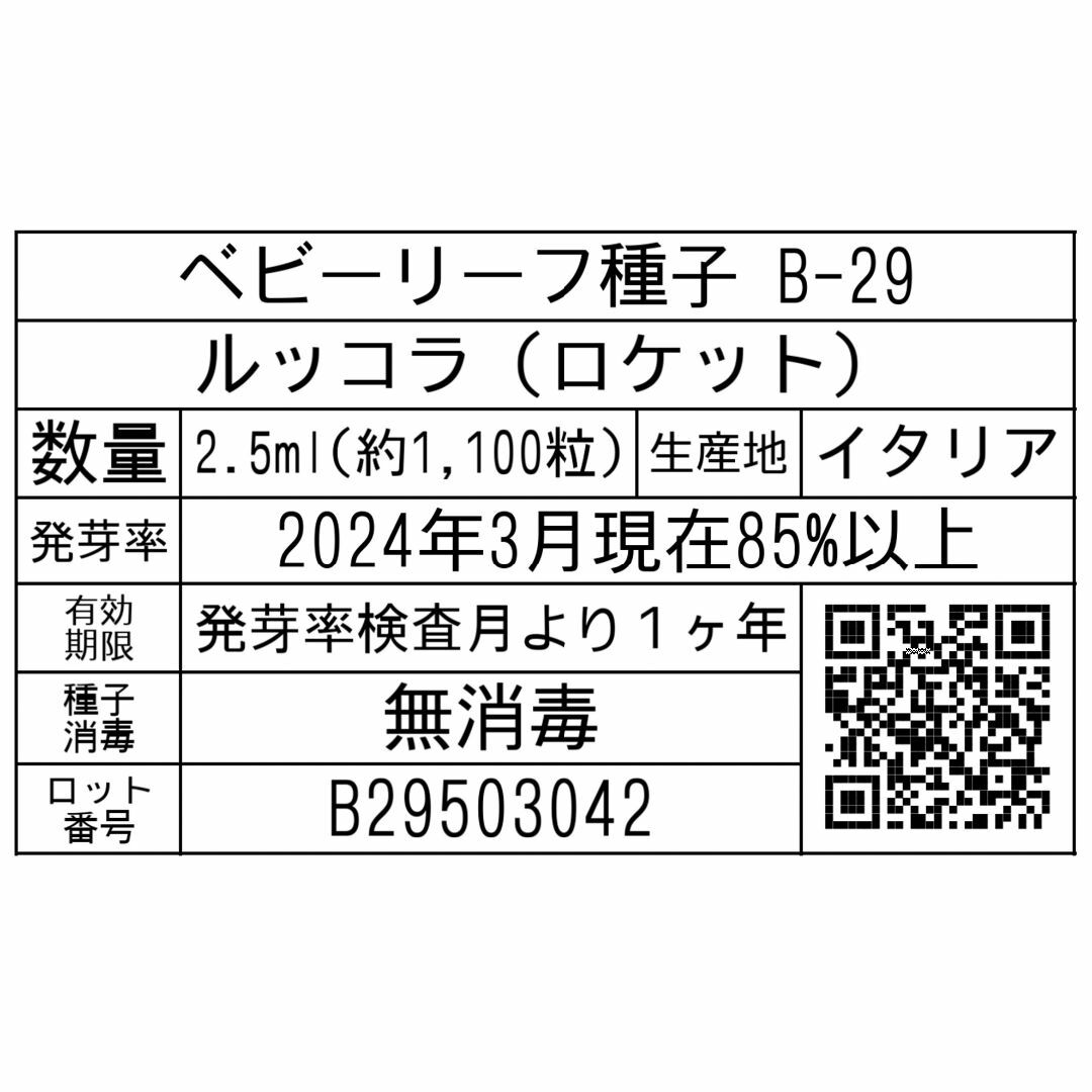 ベビーリーフ種子 B-29 ルッコラ（ロケット）2.5ml約1100粒 x 2袋 食品/飲料/酒の食品(野菜)の商品写真