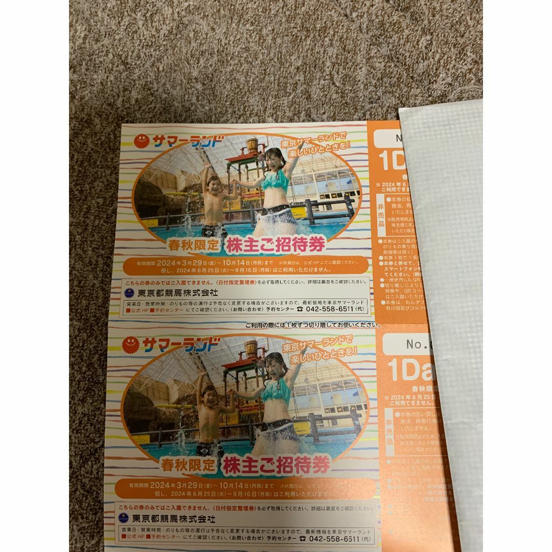 東京都競馬株式会社　東京サマーランド　2枚 チケットの施設利用券(プール)の商品写真