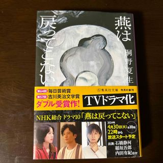 燕は戻ってこない(文学/小説)