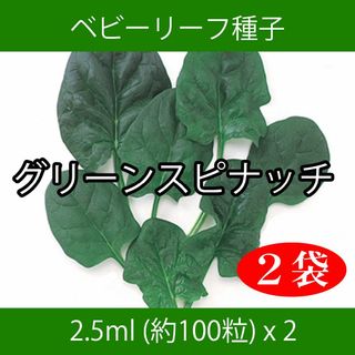 ベビーリーフ種子 B-39 グリーンスピナッチ 2.5ml 約100粒 x 2袋(野菜)