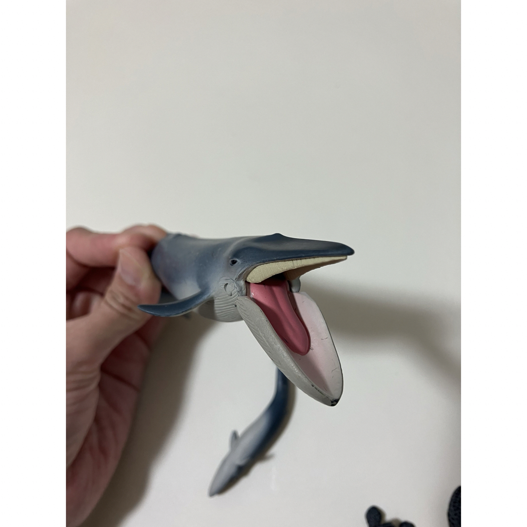 Ania（TAKARA Tomy）(アニア)のアニア　海の生き物　シロナガスクジラ　カメ　親子　セット フィギュア エンタメ/ホビーのフィギュア(その他)の商品写真