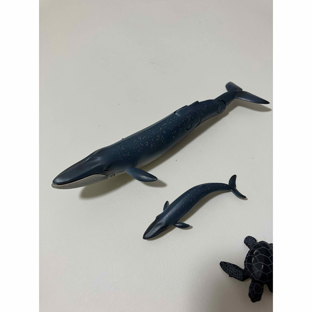 Ania（TAKARA Tomy）(アニア)のアニア　海の生き物　シロナガスクジラ　カメ　親子　セット フィギュア エンタメ/ホビーのフィギュア(その他)の商品写真