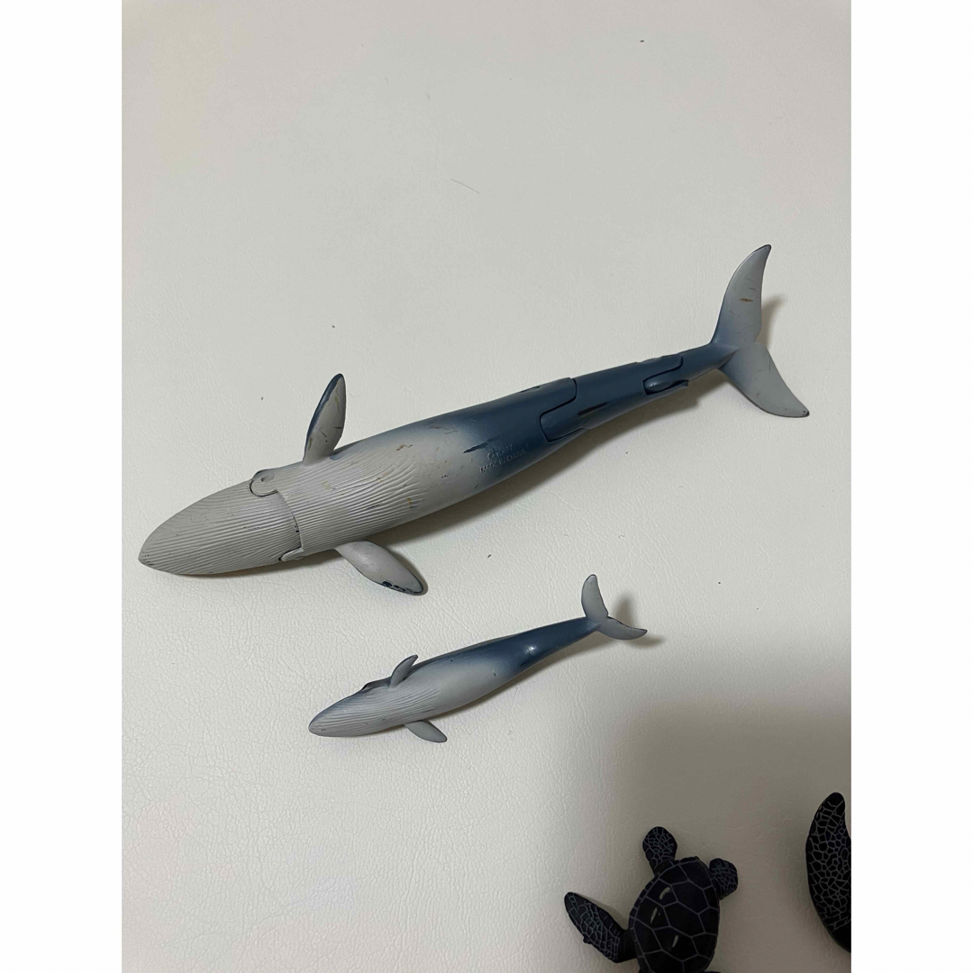 Ania（TAKARA Tomy）(アニア)のアニア　海の生き物　シロナガスクジラ　カメ　親子　セット フィギュア エンタメ/ホビーのフィギュア(その他)の商品写真