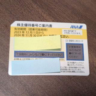 エーエヌエー(ゼンニッポンクウユ)(ANA(全日本空輸))のANA 　株主優待券(航空券)