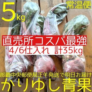 「奇跡の野菜/食べる輸血」沖縄県産Ｔさんの丸ごとビーツＢ品約５kg/常温4/6①(野菜)