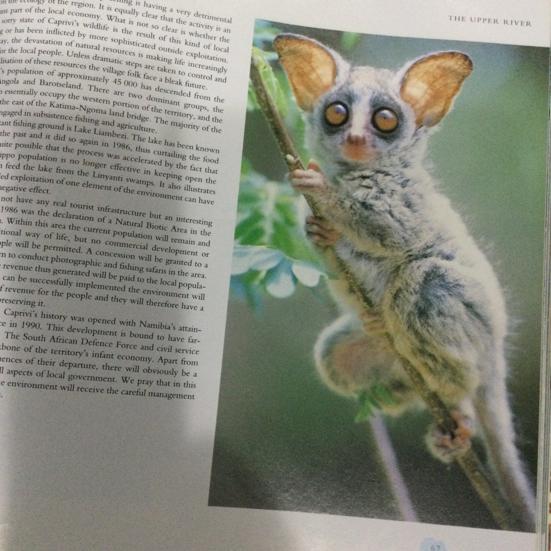 ザンベジ　川　アフリカ　写真集　動物　洋書　Zambezi Africa 自然 エンタメ/ホビーの本(洋書)の商品写真