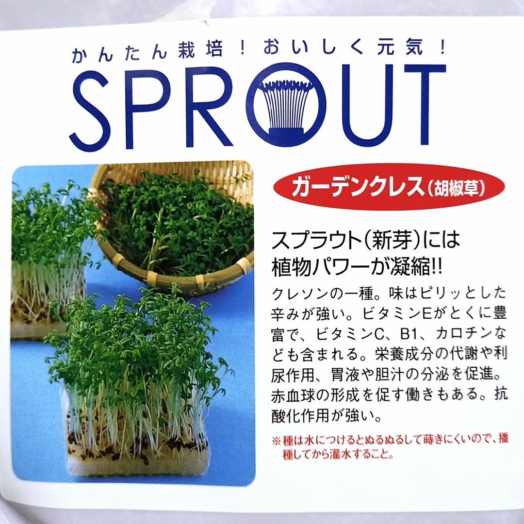 スプラウト種子 S-09 ガーデンクレス（胡椒草） 5ml約1500粒 x 2袋 食品/飲料/酒の食品(野菜)の商品写真