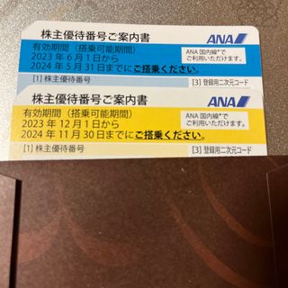 エーエヌエー(ゼンニッポンクウユ)(ANA(全日本空輸))のANAの株主優待　2枚(航空券)