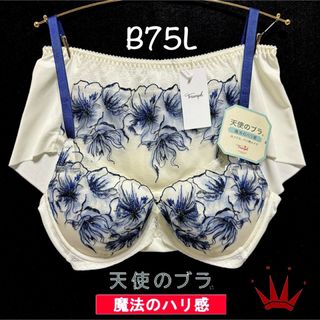 Triumph - B75L トリンプ  天使のブラ 魔法のハリ感586 ブラ＆ショーツWhite 