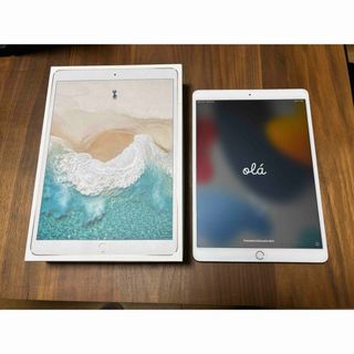 iPad - CG5VV 完動品iPad Air2(A1566)本体16GBゴールド送料込の通販