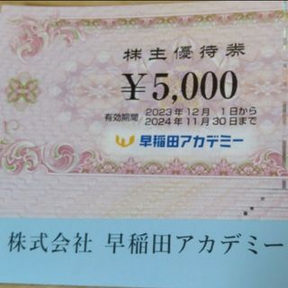 24時間以内匿名発送❣️早稲田アカデミー 株主優待券10枚＝50,000円分(その他)