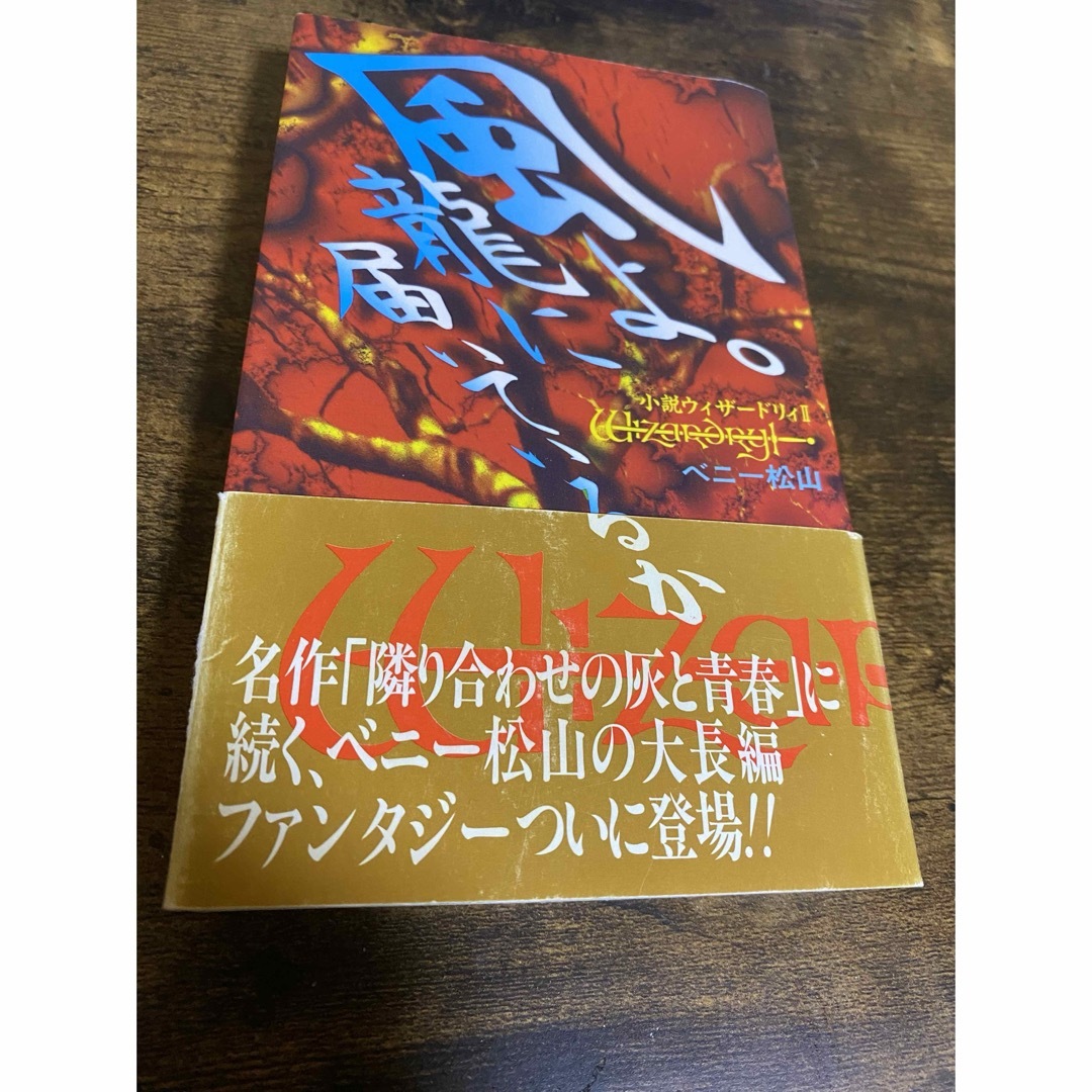 宝島社(タカラジマシャ)の風よ。龍に届いているか　小説ウィザードリィⅡ エンタメ/ホビーの本(文学/小説)の商品写真