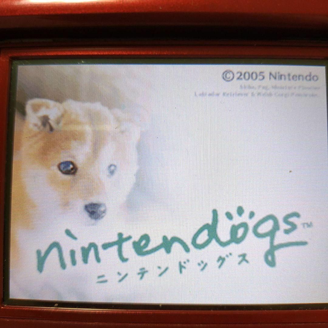 ニンテンドーDS(ニンテンドーDS)のnintendogs 柴＆フレンズ エンタメ/ホビーのゲームソフト/ゲーム機本体(携帯用ゲームソフト)の商品写真